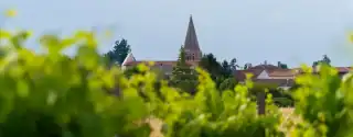 Vue sur Gémozac